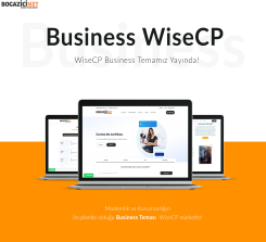 Business WiseCP Tema